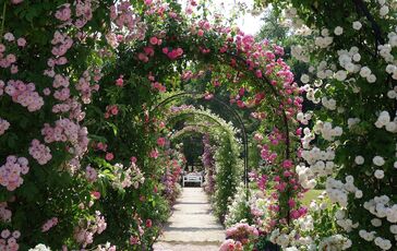 Kultúrna turistika po Slovensku