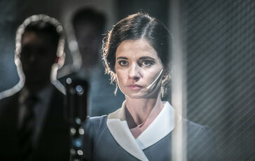 Ondrej Šoth: MILADA HORÁKOVÁ