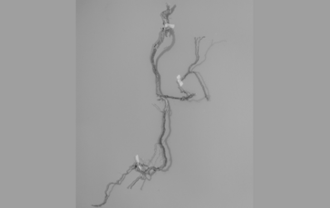 Výstava POMINUTEĽNÉ VÄZBY: Michaela Nagyidaiová