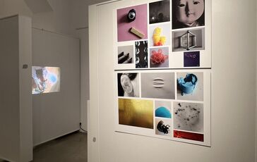 Vernisáž výstavy Pod spoločnou krehkou strechou (21. 11. 2024)