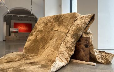 Výstava SOIL NOT OIL (Vernisáž 23. 1. 2025)