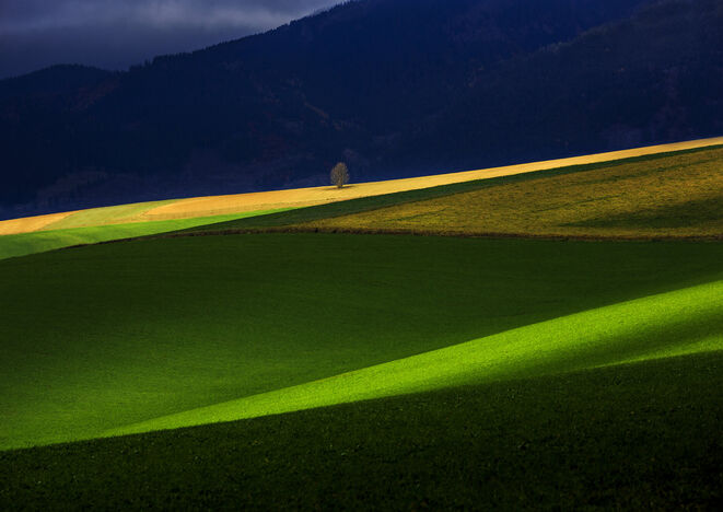 Čarovné Slovensko (Zväz slovenských fotografov) | 20. 11. 2025 - 15. 1. 2026
